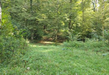 Trail Walking Aubange - Prire par Bizeury - Photo