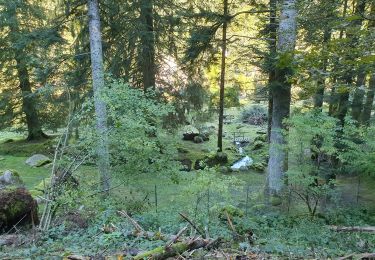 Tour Wandern Oderen - mp oderen 2021 - Photo
