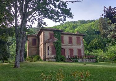 Randonnée Marche Ambialet - Au long du Tarn: de La Condomine à Marsal - Photo