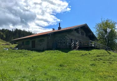 Randonnée A pied Nußdorf am Inn - Wanderweg 33 - Samerberg - Photo