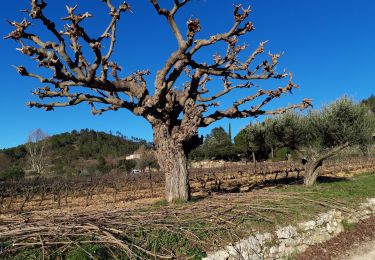Trail Walking Le Val - Circuit des Chapelle-Le Val-15-01-21 - Photo