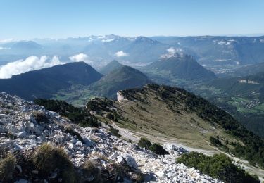 Randonnée Marche Sarcenas - Col de Porte_Chamechaude - Photo