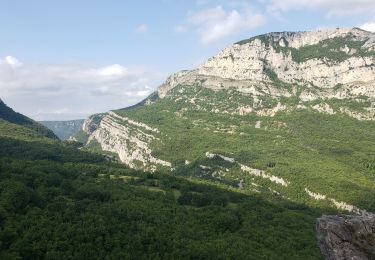 Tour Wandern Courmes - Courmes. Le plateau de Saint Barnabé et le champ des Idoles. - Photo