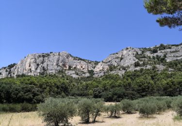 Percorso Marcia Mérindol - Les gorges de regallon à partir de Merinol - Photo