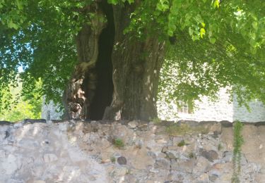 Trail Walking Saint-Martin-d'Uriage - St Niez d'Uriage - Photo
