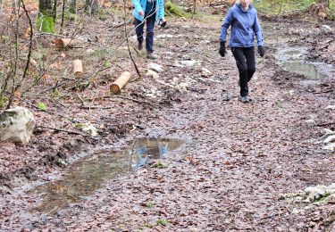 Trail Walking Chapelle-des-Bois - 25/01/24 Bellefontaine jura - Photo