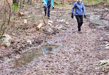 Tocht Stappen Chapelle-des-Bois - 25/01/24 Bellefontaine jura - Photo