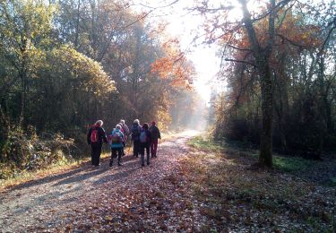 Tocht Stappen Chevreuse - chevreuse - Photo