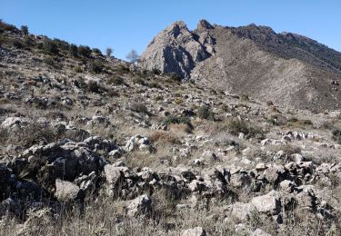 Trail Walking Alhama de Granada - Ventas de Zafarraya  - Photo