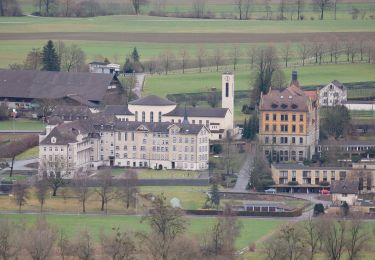 Tocht Te voet Hitzkirch - Gelfingen - Ballwil - Photo