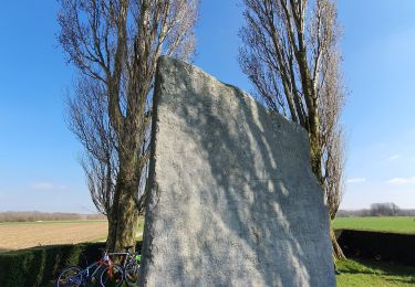 Tocht Stappen Brunehaut - Lesdain - Photo