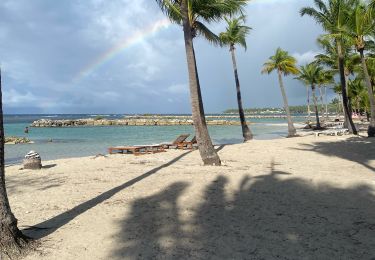 Trail Trail Sainte-Anne - La boucle st Anne  - Photo