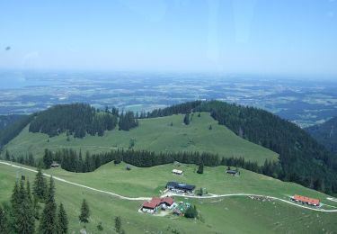 Tocht Te voet Bergen - Wanderweg 17 - Hochfelln - Photo