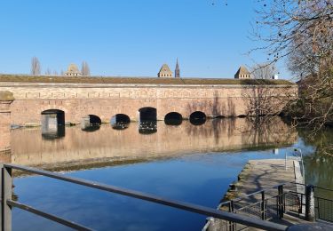 Tour Wandern Straßburg - Le tour de la grande isle  - Photo