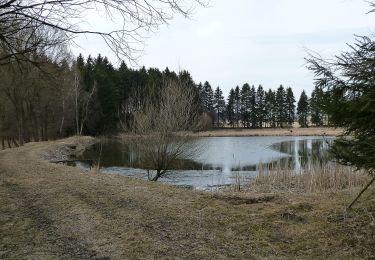 Randonnée A pied Žďár nad Sázavou - Naučná stezka Babín - Photo