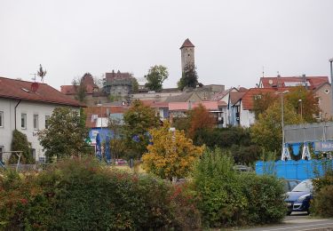 Tocht Te voet Neuhaus a.d.Pegnitz - Neuhaus-Rundwanderweg No.1 - Photo