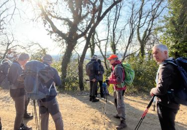 Tour Wandern Beauchastel - Beauchastel  - Photo