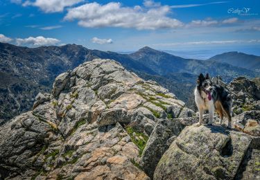 Tour Wandern Carbuccia - Punta CACHJONI Carbuccia - Photo