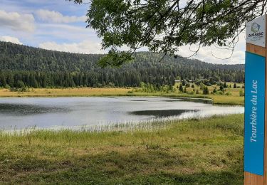 Trail Walking Lac-des-Rouges-Truites - Mont Noir de Vent - Photo