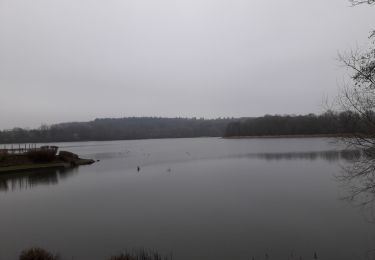 Trail Walking Fosses-la-Ville - Bambois 050121 - Photo