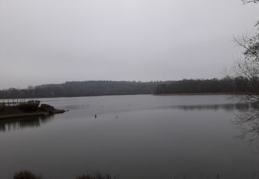 Tour Wandern Fosses-la-Ville - Bambois 050121 - Photo