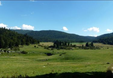 Randonnée Randonnée équestre Bouvante - Ferme de Lente vers col de la machine version courte - Photo