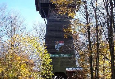 Excursión A pie Furth im Wald - Fu01 Diebergweg - Photo