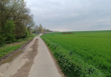 Excursión Senderismo Nivelles - Boucle champêtre Nivelles/Genappe  - Photo