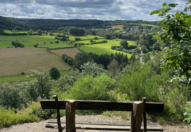 Trail Walking Jalhay -  Boucle de Charneux 17 Km  - Photo