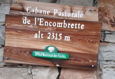 Percorso Marcia Colmars - col de l'encombrette pas de L'Echellette - Photo
