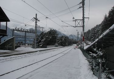 Tour Zu Fuß Marktgemeinde Zirl - 50 / 4a Hochzirl - Magdeburger Hütte - Photo