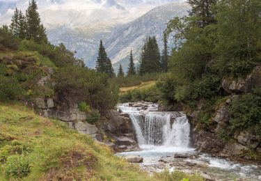 Percorso A piedi Valdaone - Sentiero del forcel rosso - Photo