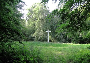 Randonnée A pied Tracy-le-Mont - le GR655 dans les Forêts de Laigue et de Compiègne - Photo