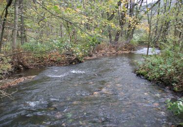 Trail On foot Erbach - Rundwanderweg Erbach 9 - Photo