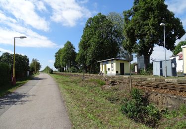 Randonnée A pied Žďár - CZ-Březina - Příhrazy (modrá) - Photo