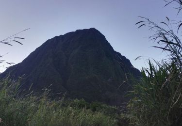 Excursión Senderismo Salazie - Piton d'Anchain - Photo