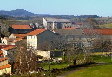 Trail Walking Olloix - Olloix_Gorges_Vallee_Monne - Photo