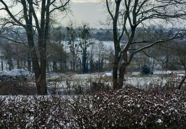 Tocht Stappen Amay - Amay Viamont Tambour Forêt  - Photo