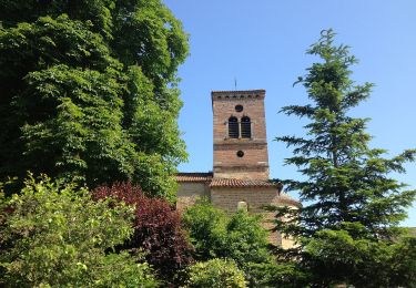 Tocht Te voet Monthieux - Observatoire sur l'Étang Grange Volet - Photo