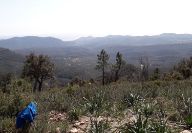 Randonnée Marche Fréjus - Mont Vinaigre par Colle Douce - Photo