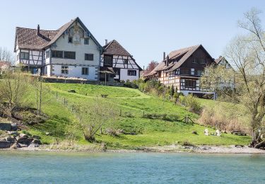 Tocht Te voet Stein am Rhein - Uferrundweg Stein am Rhein - Photo