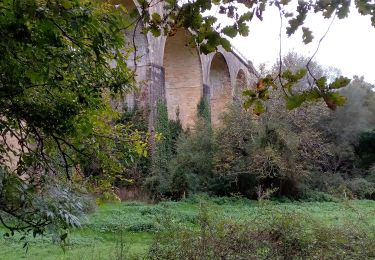 Tocht Stappen Pays de Belvès - Salles de Belvès 15,7km - Photo