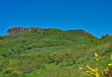 Tour Wandern Saint-Étienne-de-Boulogne - 2025-01-22_11h22m37_St Etienne de Boulogne-Gourdon 14km - Photo