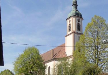 Tocht Te voet Hohberg - Hofweier Rathaus - Rüttihof - Photo