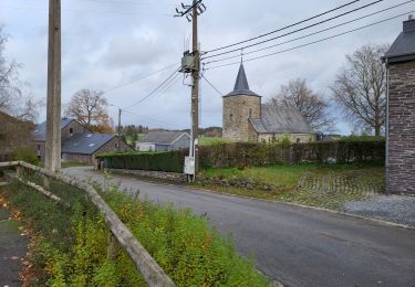 Randonnée Marche Vielsalm - Bihain 191123 - Photo