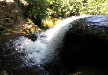 Tour Wandern Carcès - carces - Photo