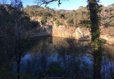 Trail Walking La Roquebrussanne - La Barre des Chaberts - Photo