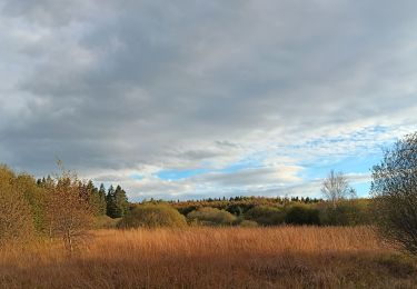 Trail Walking Eupen - nahtsief - Photo