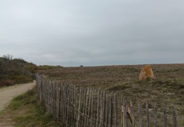 Trail Walking Argelès-sur-Mer - mas larrieu dans la tourmente automnale   - Photo