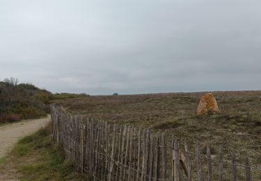 Percorso Marcia Argelès-sur-Mer - mas larrieu dans la tourmente automnale   - Photo